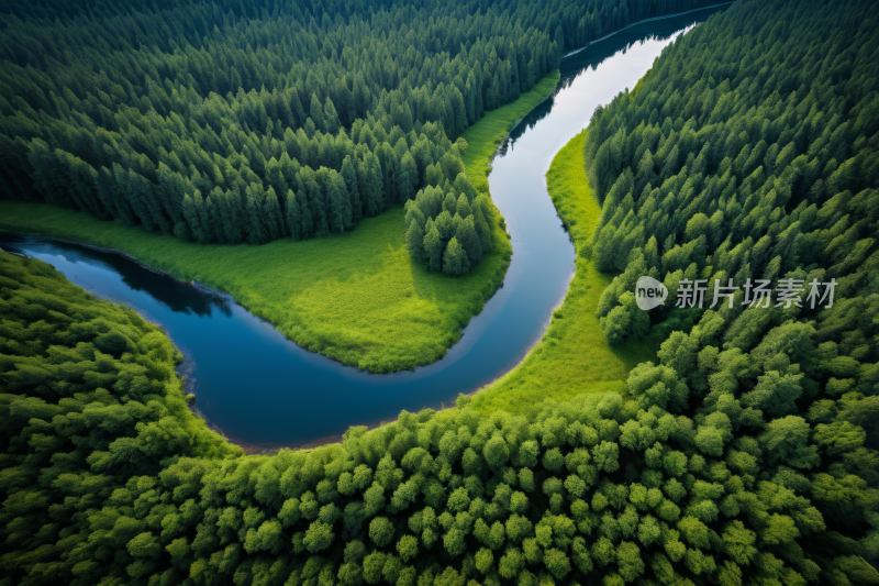 一条河流穿过郁郁葱葱的绿色森林风景图片