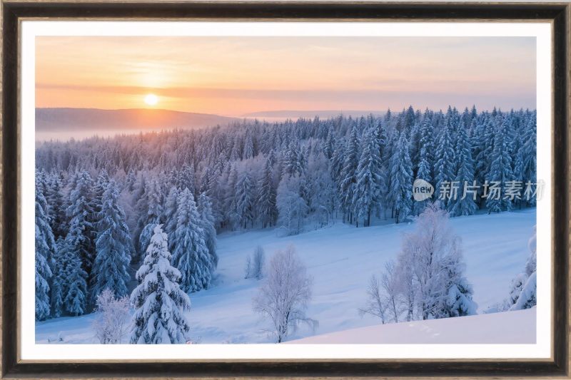 冬日雪林日落美景