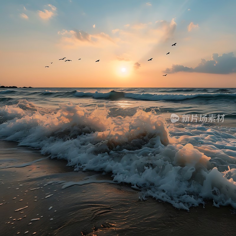 日落时分的海浪与飞翔的海鸟