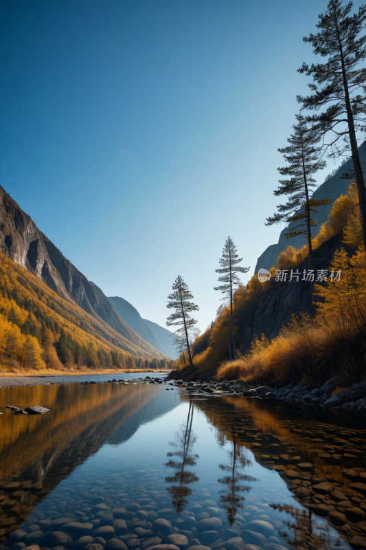 树木倒映在山河的静水中高清风景图片