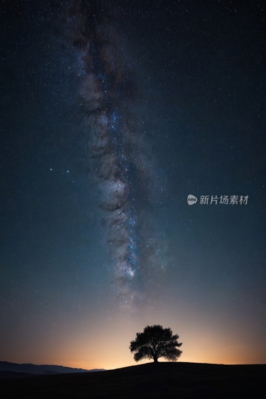 在充满星星的田野里有树高清风景图片