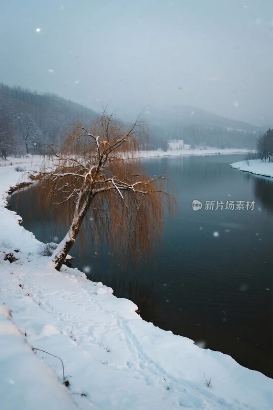 冬日雪景河流风景
