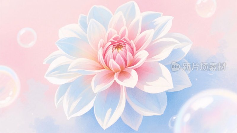 梦幻唯美的绽放花朵