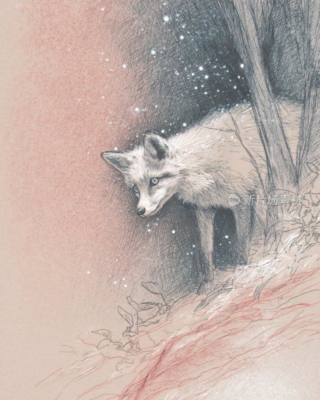 雪中的狐狸插画