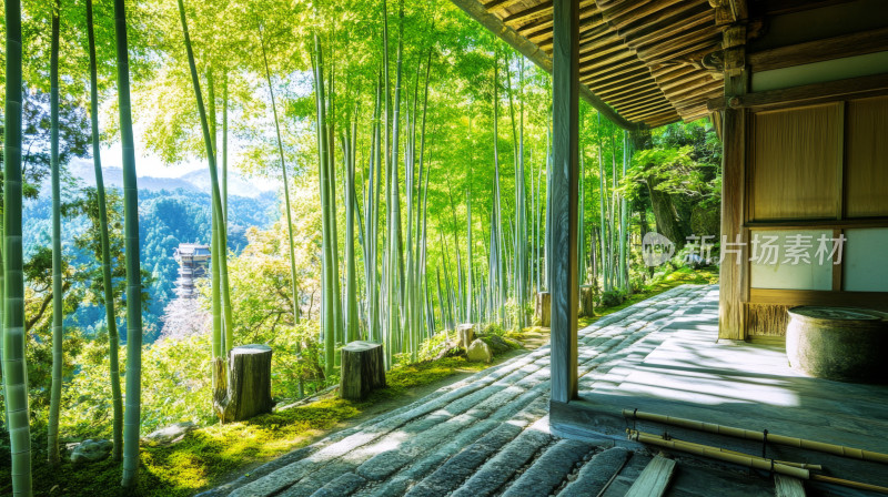 竹林竹海大自然唯美清新背景