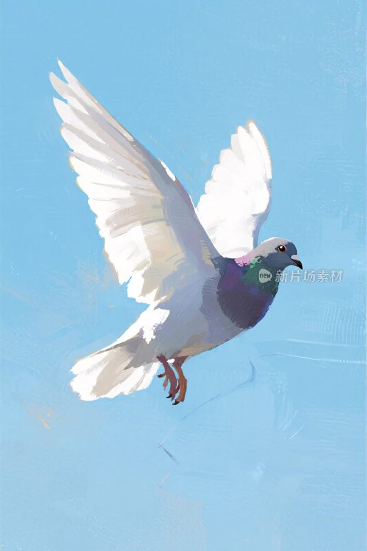 飞行的鸽子