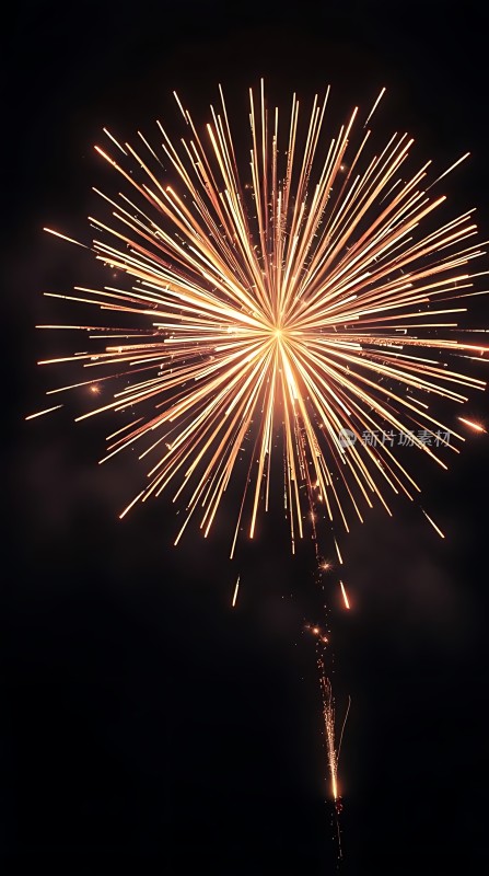 夜空烟花绽放光芒四射璀璨夺目