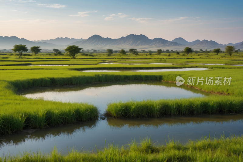 草地有水和山脉高清风景图片