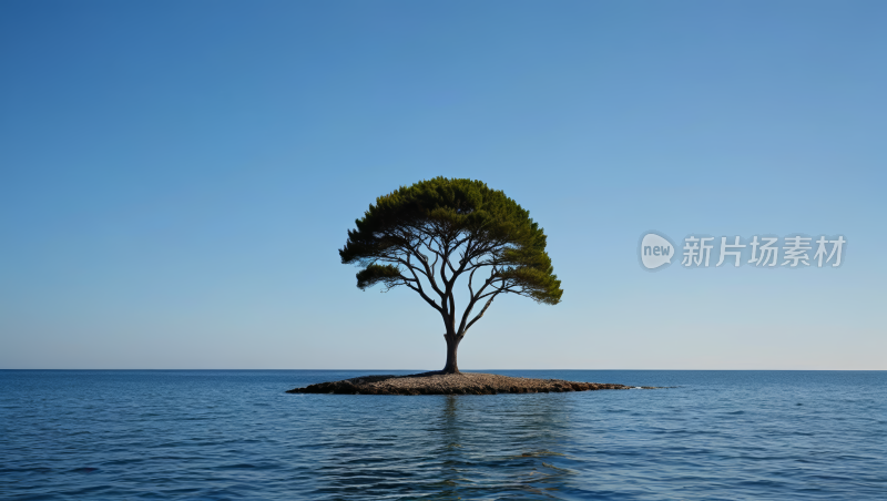 海中央的一个小岛上一棵孤树高清图片