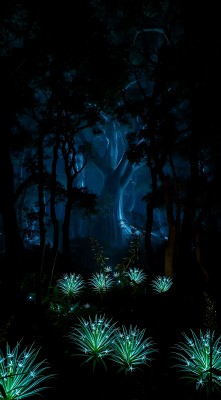 神秘森林夜光植物