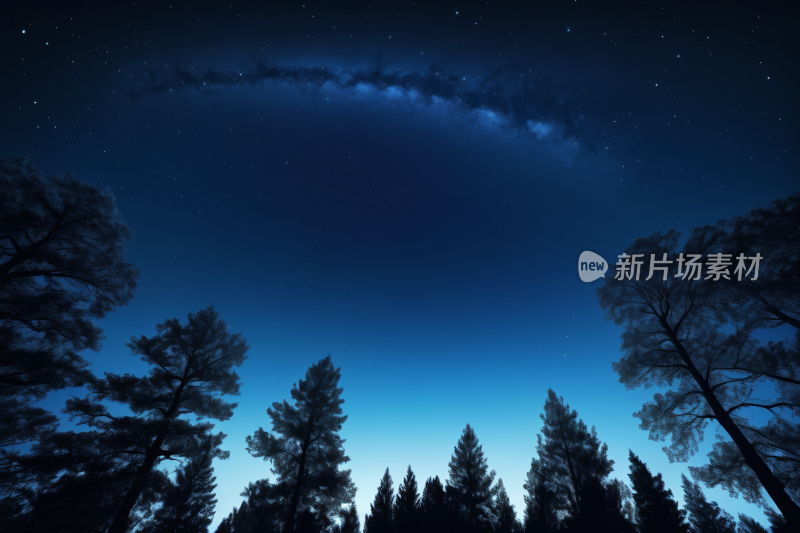 星空的一圈星星和树木高清风景风光图片