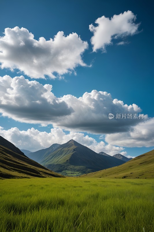 一片草地高高山清图片