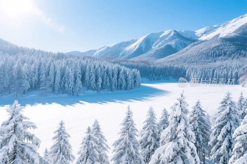 冬日雪山森林雪景