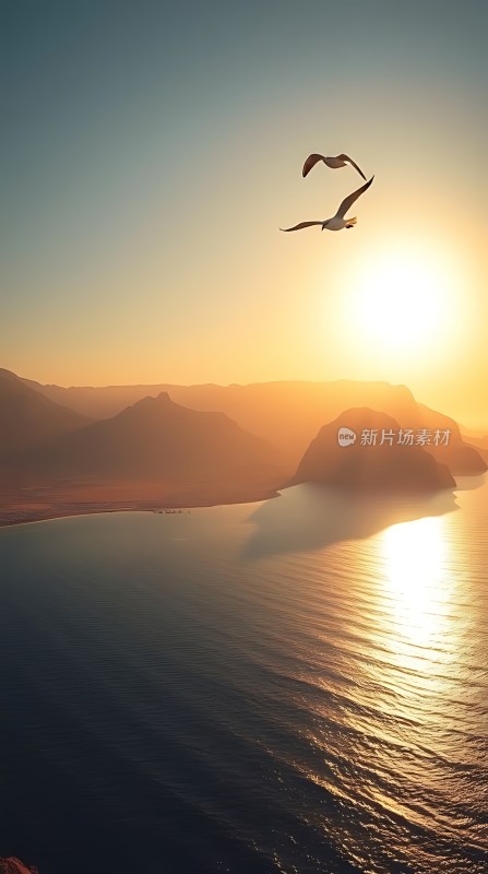 海鸥翱翔日落时分的海洋与岛屿