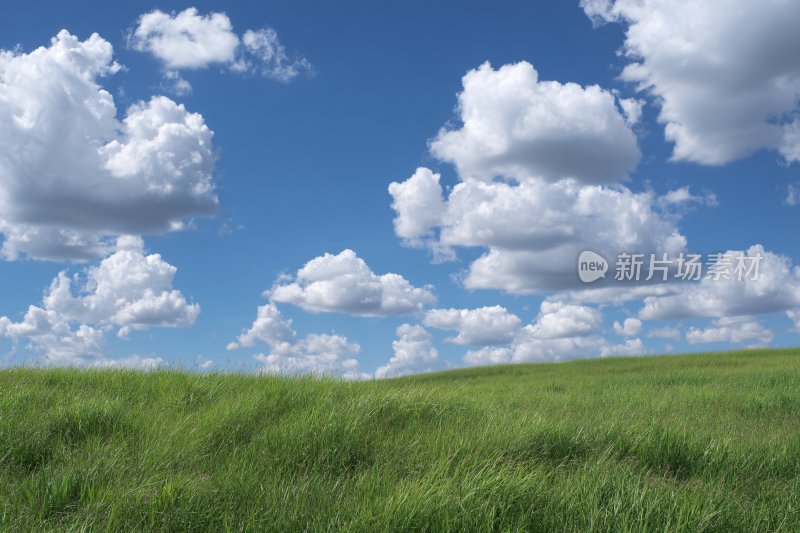 蓝天白云下的绿色草地