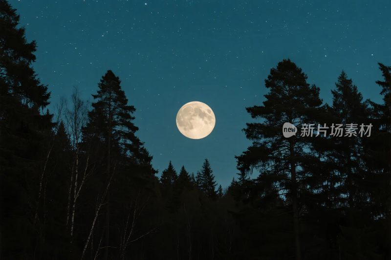 夜晚森林满月景观