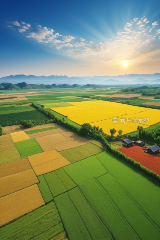 一片有田野和房子的农场的景色高清风景图片