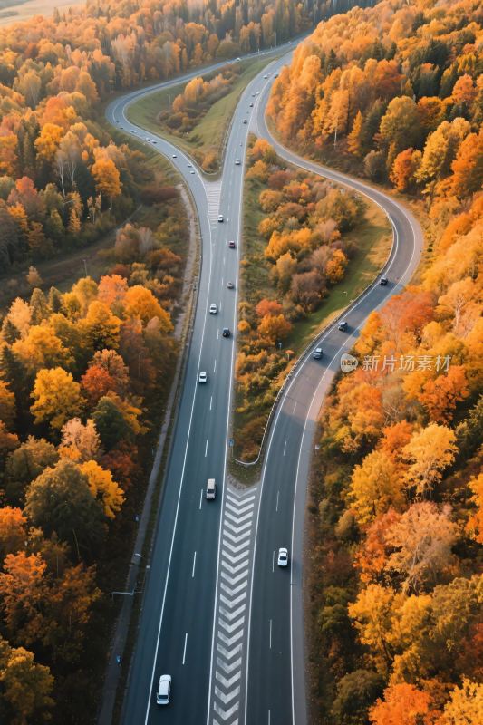 秋日公路航拍美景
