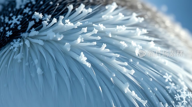 冰封世界晶莹剔透