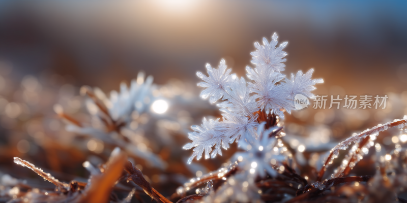 唯美冰晶雪花