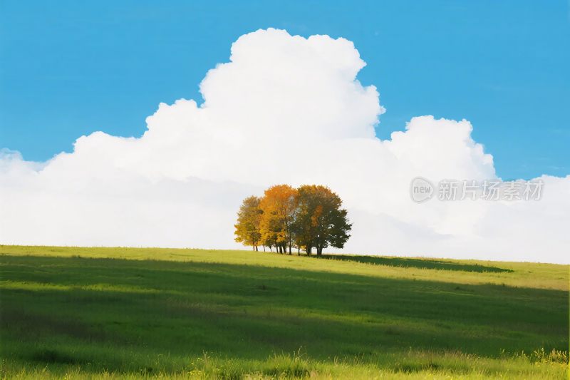 田园风光风景图