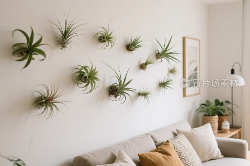 室内墙面植物装饰场景