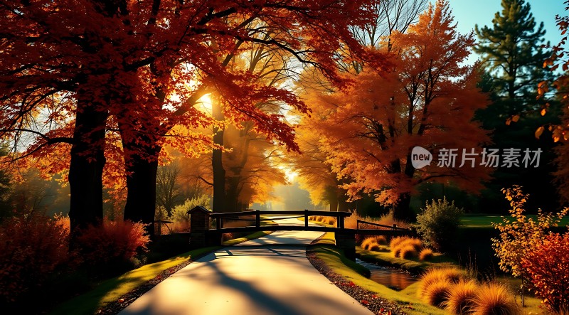 秋日暖阳下的宁静小径