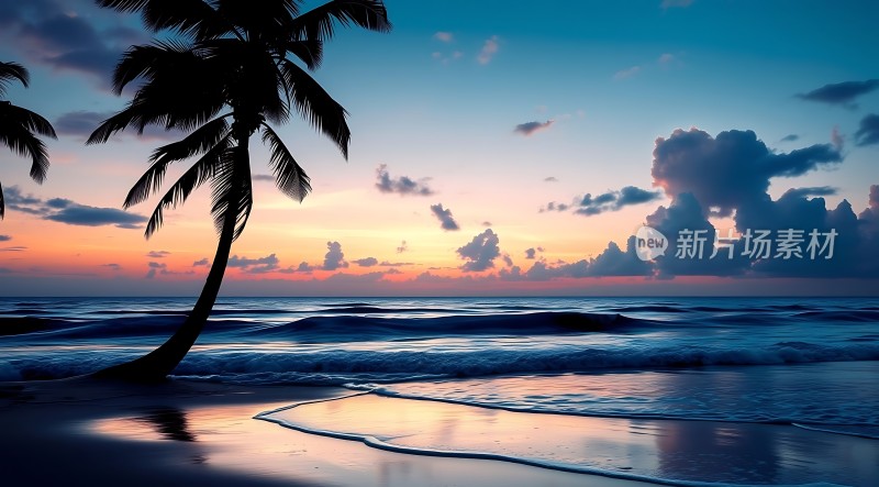 椰林晚霞映碧波
