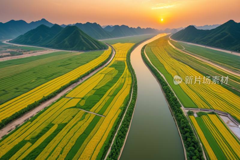 一条河流穿过郁郁葱葱的绿色田野风景图片