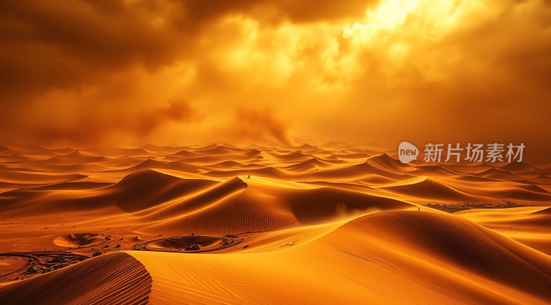 金色沙丘下的神秘沙漠
