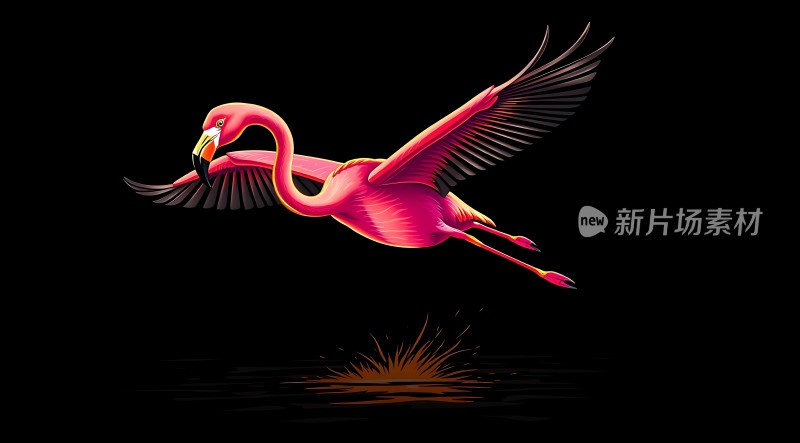 火烈鸟展翅飞翔
