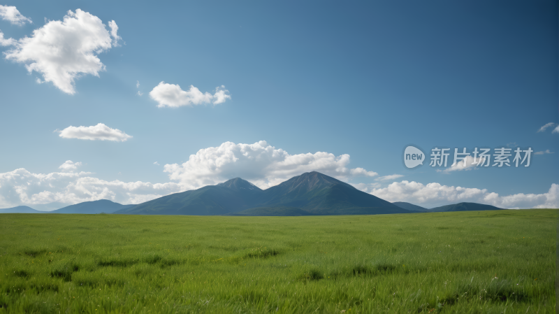 有一大片田野背景是一座山风景图片