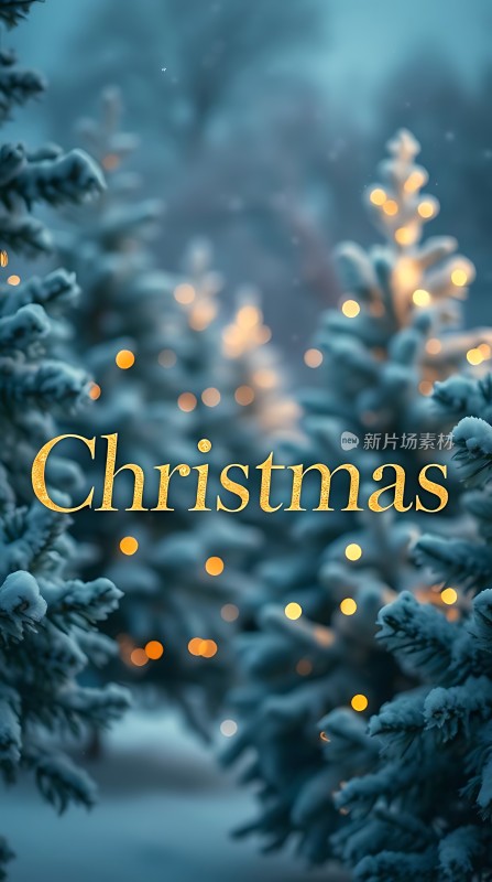 圣诞树下的温馨时光