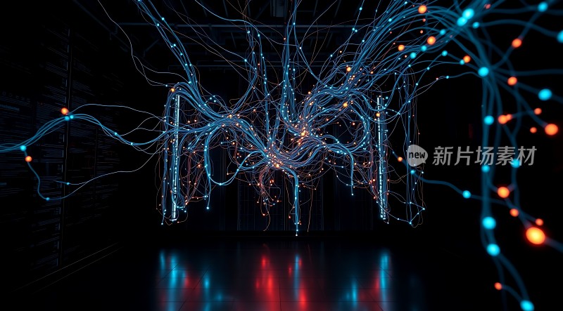 数字世界中的信息流动