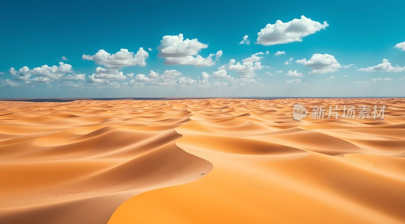 金色沙丘下的蔚蓝天空