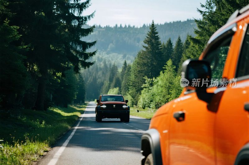 林间公路上的两辆汽车行驶
