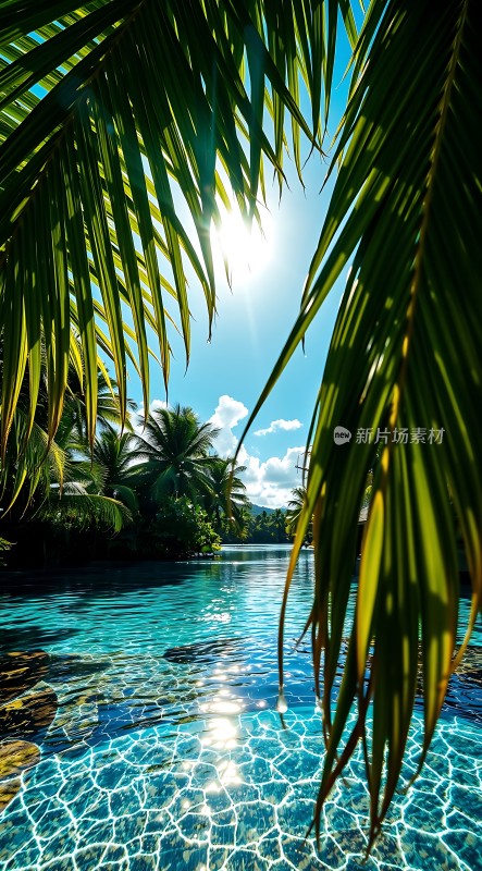 阳光下的热带风情泳池