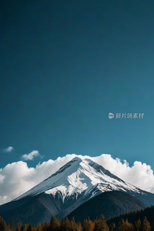 一座白雪覆盖山几棵树高清风景图片