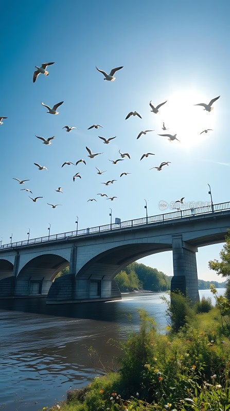 阳光下的飞翔之桥