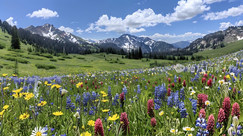 春意盎然的山谷花海