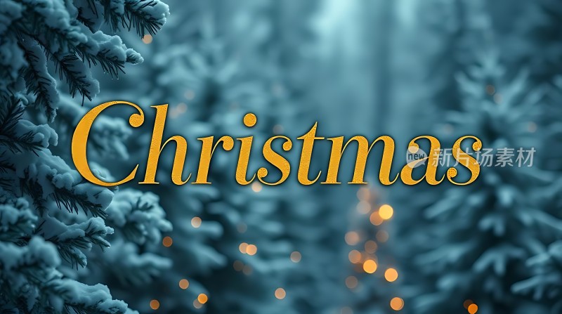 圣诞树下的温馨时光