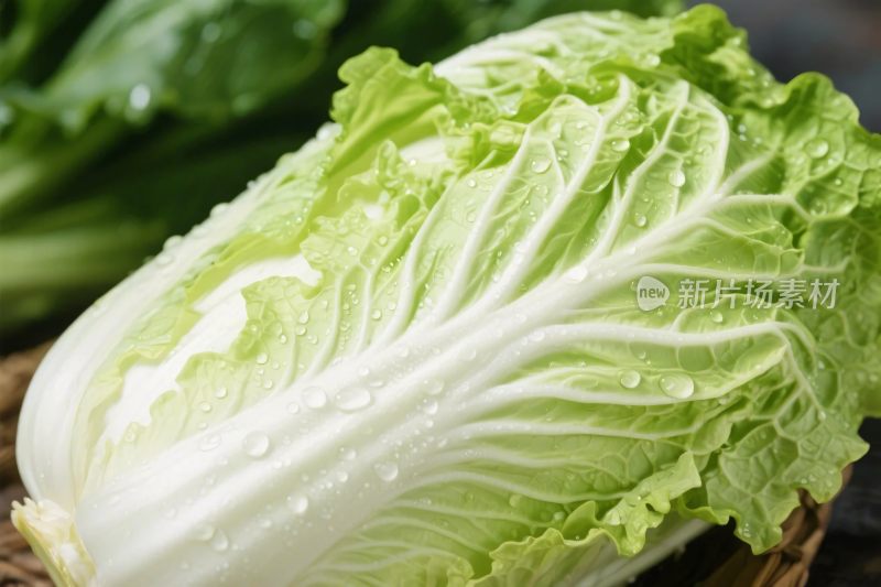 新鲜白菜特写图