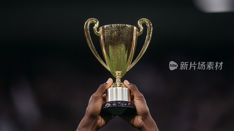 双手高举金色奖杯画面