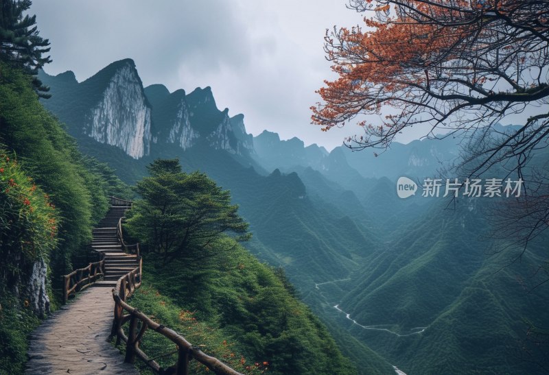 贵州云台山风光