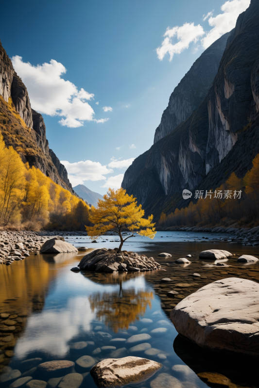 河中央的一块岩石上着一棵孤树高清风景图片