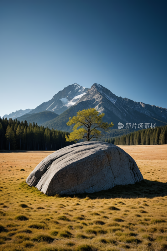 田野中央一块大岩石上面一棵树高清风景图片