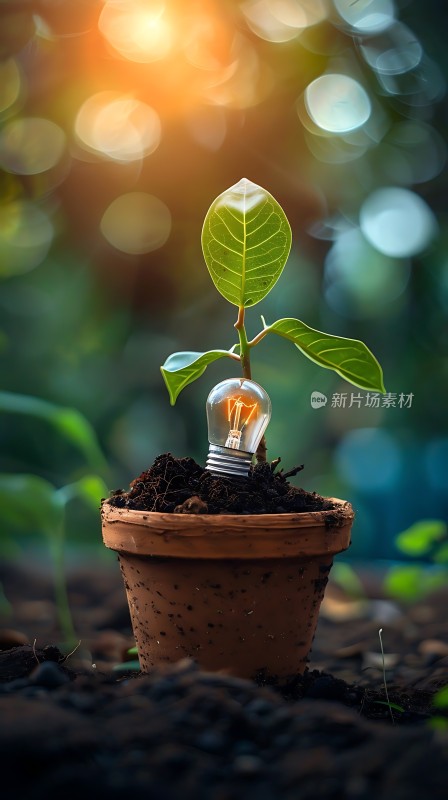 创意灯泡种植物