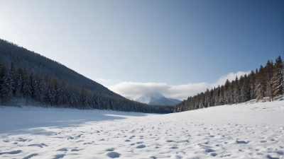 皑皑白雪景色高清风景图片