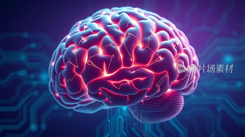 大脑电路图
