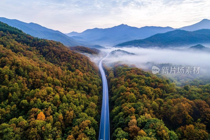 山间公路秋日美景